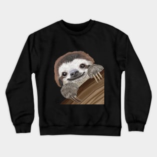 Cute and Colourful Baby Sloth Crewneck Sweatshirt